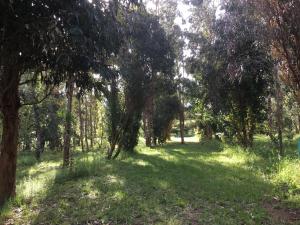 Camping du Soleil