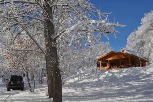 Camping, Hôtel De Plein Air Les Cariamas