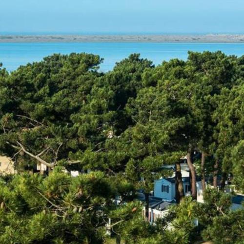 Camping la Palmyre