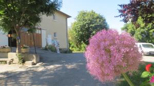 Camping la Tour