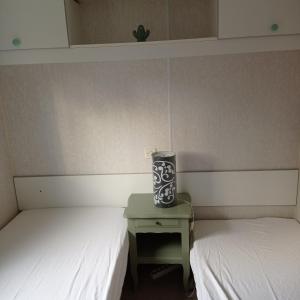 CAMPING LE BEL AIR mobil home LE PALMIER 4 personnes