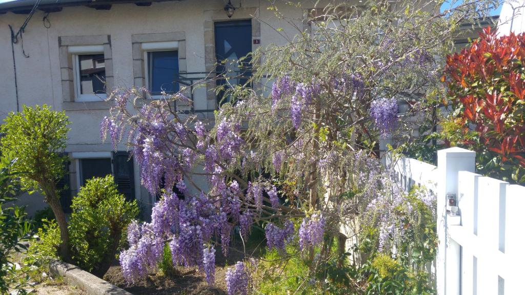 Camping Le Lac Bleu