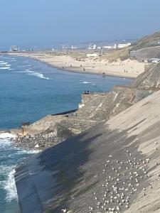 camping le phare d opale P18