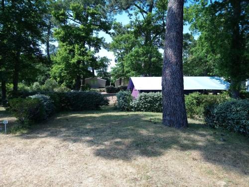 Camping Les Pins de Sel