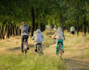 Camping maeva Escapades Le Casque Roi