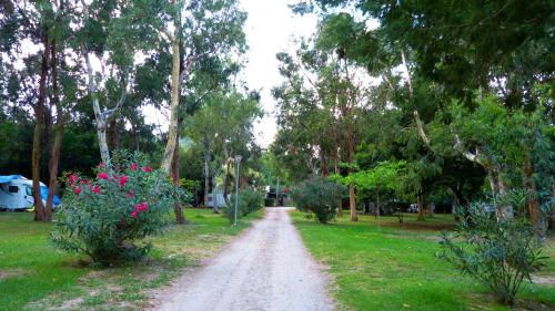 Camping Miami plage
