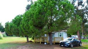 Camping Miami plage