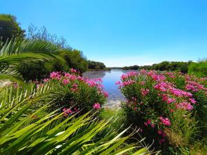 Camping Naturiste Riva Bella 4*