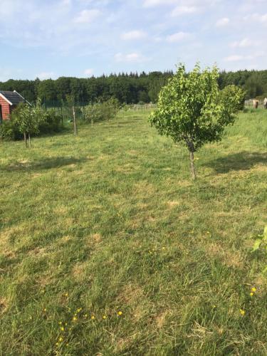 Camping Nergena