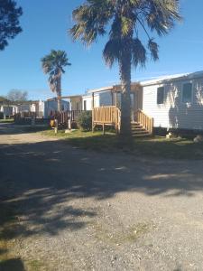 CAmping Novella