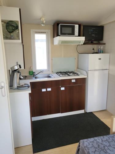 Camping parc des roches