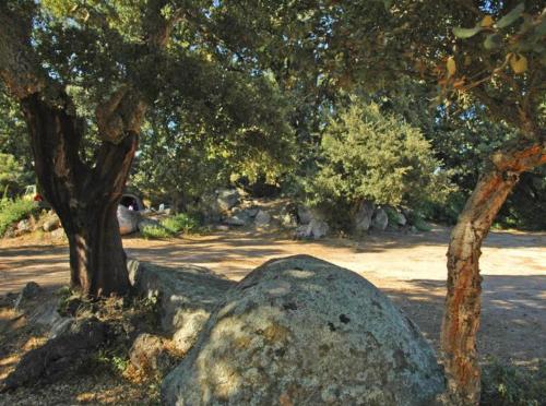 CAMPING PEZZA CARDO