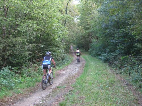 Camping Porte des Vosges