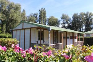 Camping Camping Vesoul Avenue des Rives du Lac 70000 Vaivre-et-Montoille Franche-Comté