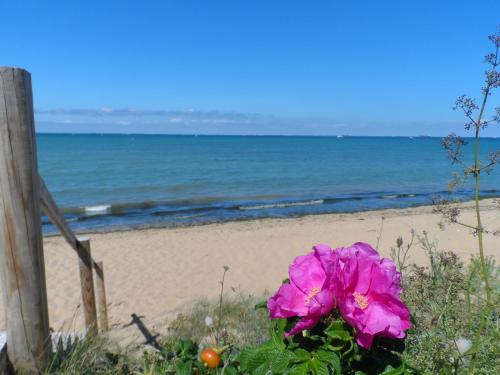 Camping Camping Cap Soleil 150 boulevard de l ocean Saint-Denis-dʼOléron