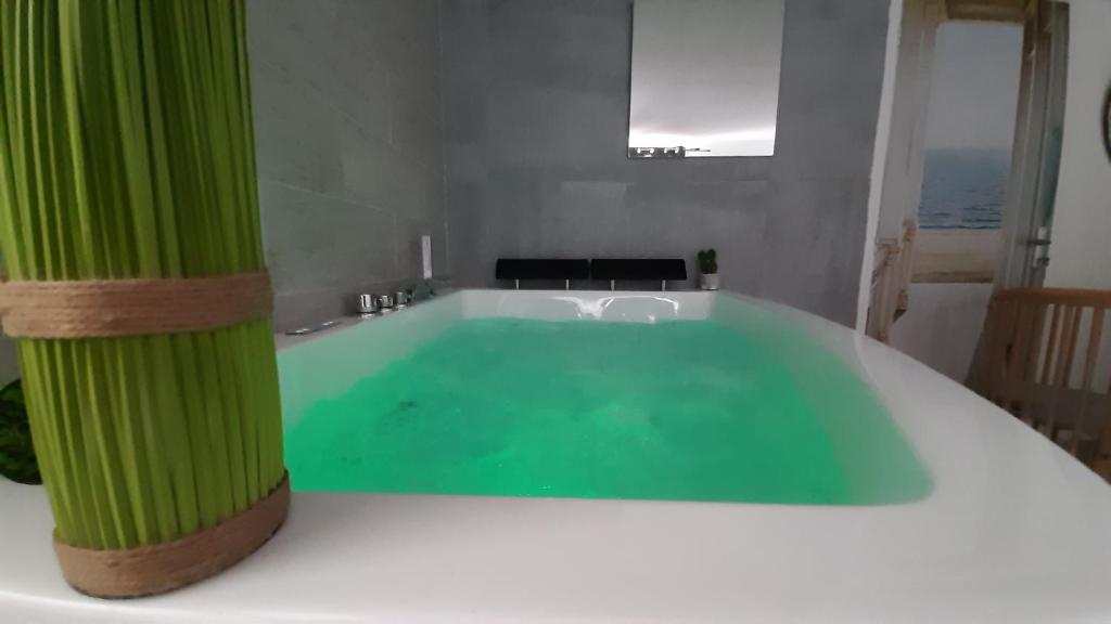 Chalet des Ours 33260 La Teste-de-Buch