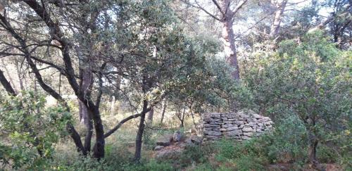 Chalet en colline