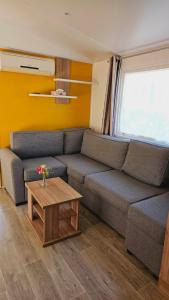 Camping Charmant mobilhome n°32, 3ch tout confort 1229 Avenue Félix Ducournau 40160 Gastes Aquitaine