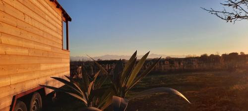 Domaine de la Cambre