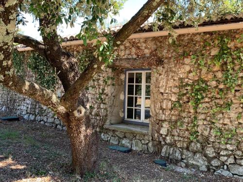 Domaine des Barons de la Chasse -- Eco-Domaine -- Lodge