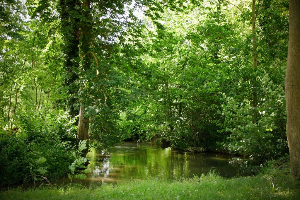 Camping Étape de la Roulotte écuries de la roulotte rue du marais 80160 Conty