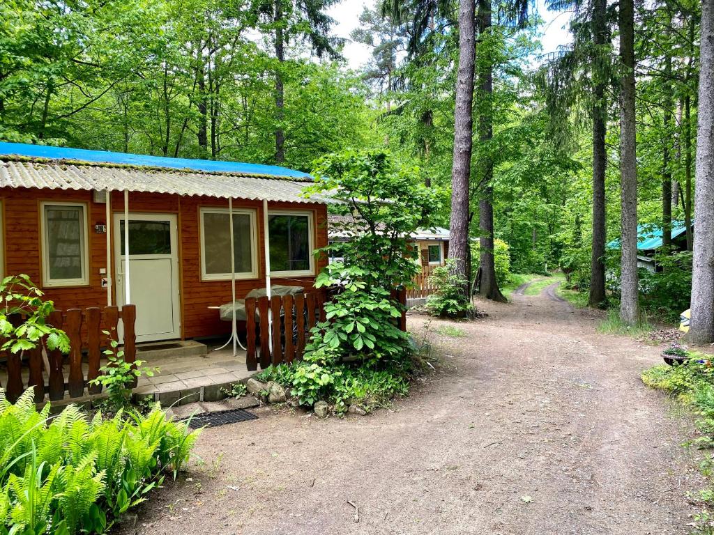 Camping Ferienbungalow auf FKK Waldcampingplatz am See 15 Moritzburger Straße 01471 Kurort Volkersdorf