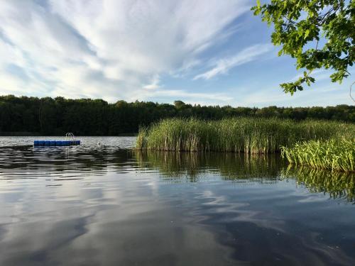 Ferienbungalow auf FKK Waldcampingplatz am See