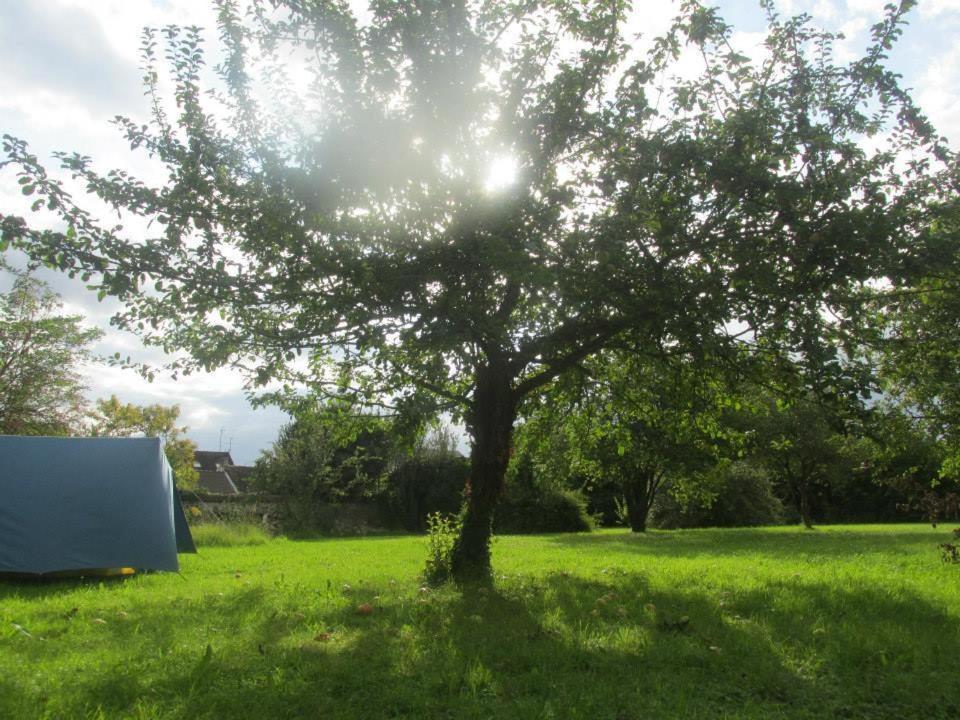 Camping Fontaineblhostel hostel & camping near Fontainebleau 14 Place De La République 77760 La Chapelle-la-Reine