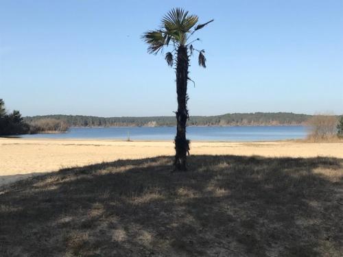 GRAND MOBIL HOME 2CH 248 CAMPING 4* SIBLU LA RESERVE
