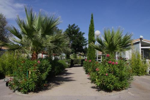 Camping Camping Hameau Des Cannisses Avenue de la Jonque - Quartier Les Ayguades Gruissan