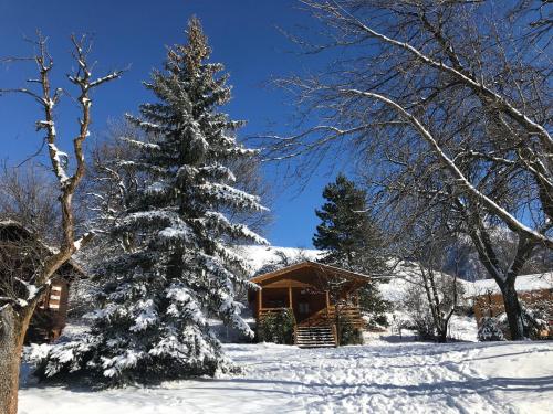 Camping, Hôtel De Plein Air Les Cariamas Châteauroux-les-Alpes france