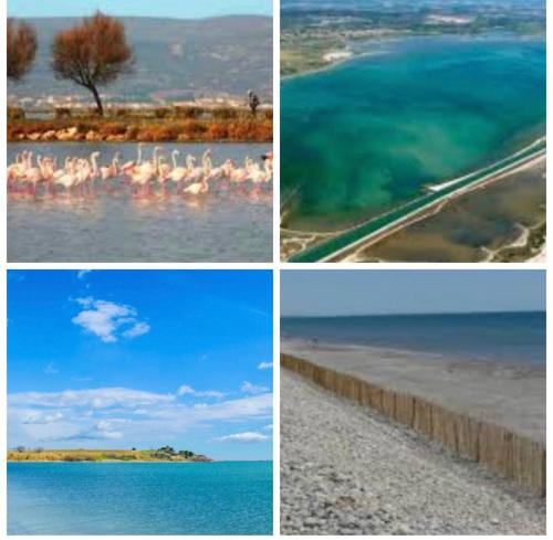 Camping l’Europe Vic-la-Gardiole france