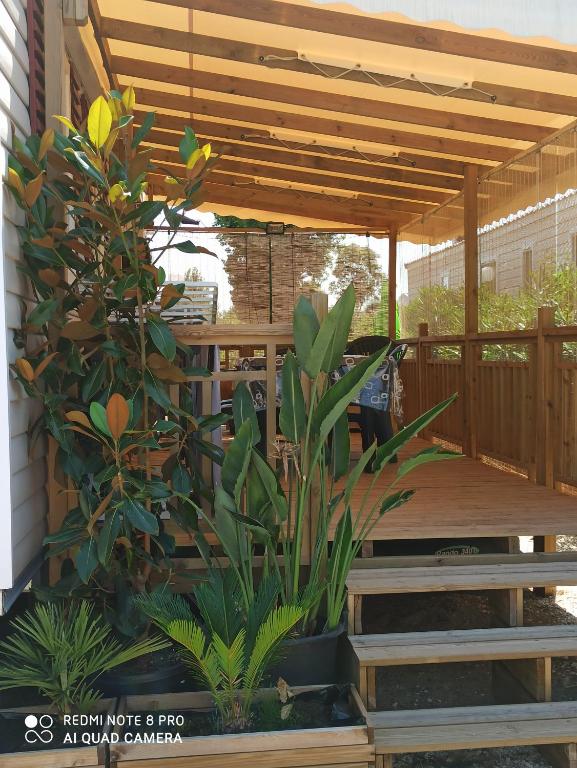 Le Balcon Des Raspes 12400 Saint-Victor-et-Melvieu