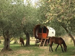 Le Camping de Cucugnan