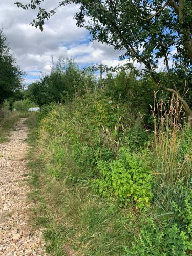 Le Camping de Ma Petite Ferme