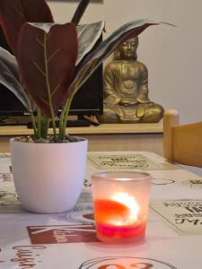 Le paradis des actifs