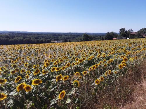 Camping Le Pré du Lac Pagéas Pagéas france