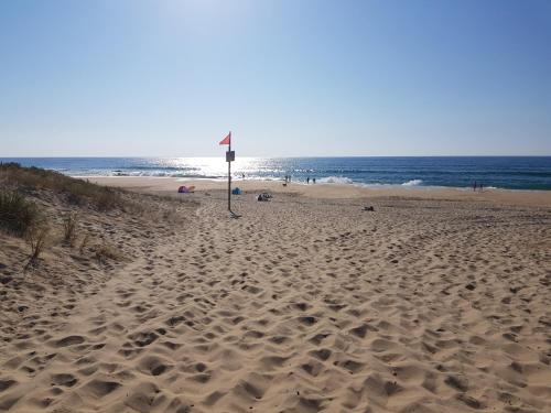 Les Dunes de Contis ***