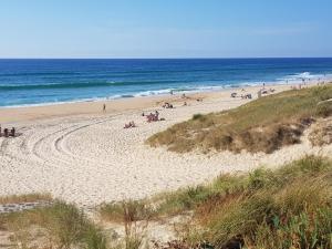Les Dunes de Contis ***