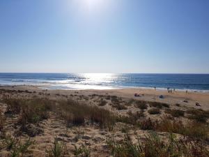 Les Dunes de Contis ***