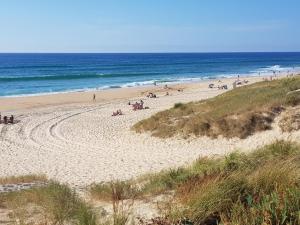 Camping Les Dunes de Contis *** Route de Contis 40170 Saint-Julien-en-Born Aquitaine