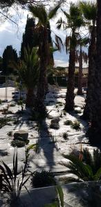 Les mobilhomes helvétiques 4 étoiles Mar Estang Canet en Roussillon