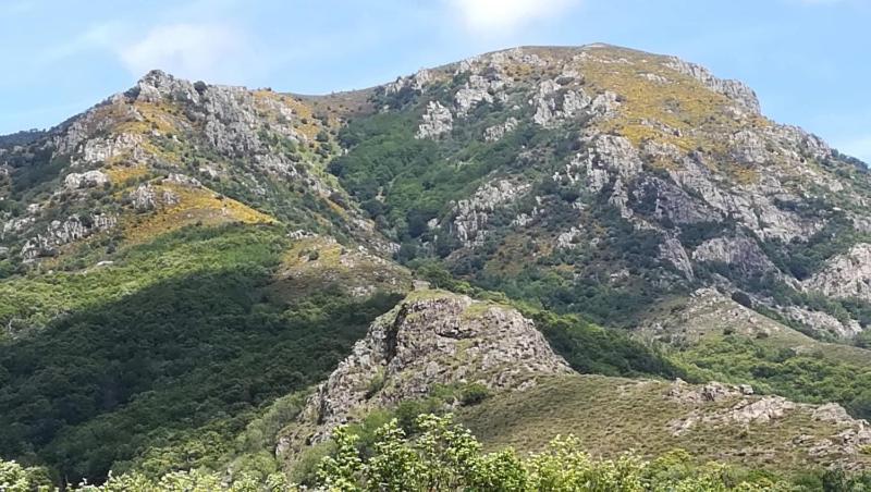 Camping Les Rives de l'Ardèche 225 Chemin de Cautet 07330 Mayres