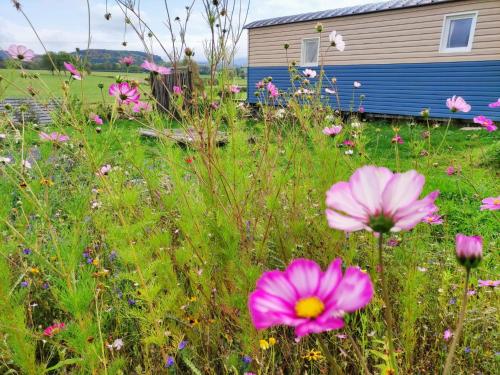 Logement insolite au cœur de l'Auvergne