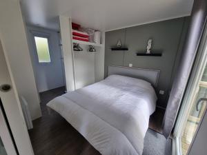 Mobil home 2 chambres Camping **** (507)