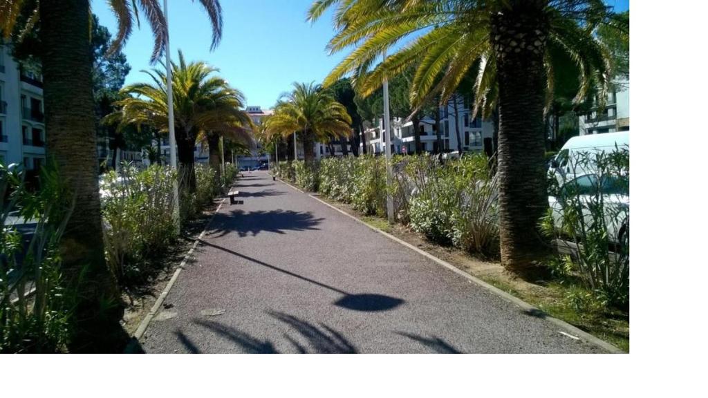 Mobil home camping 4* bord du lac de Biscarrosse. 40160 Gastes