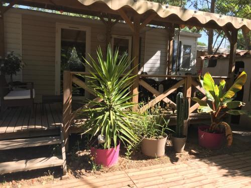 MOBIL HOME CLIMATISE CAMPING 4* LE GRAU DU ROI LES JARDINS DE TIVOLI