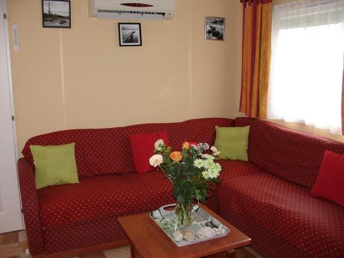 Mobil-home climatisé La Cotinière