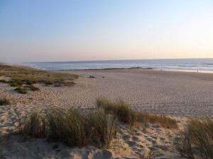 MOBIL HOME DUNES DE CONTIS