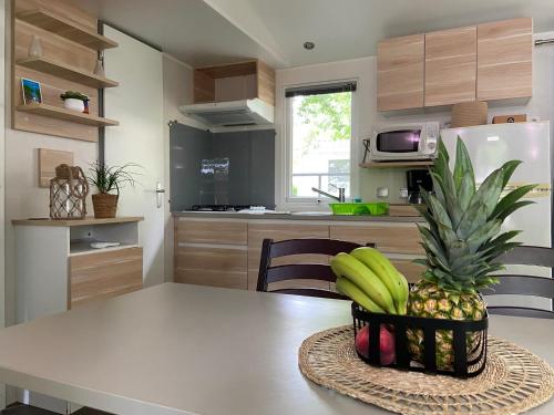 MOBIL HOME G058